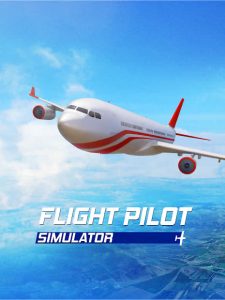 Flight Pilot Simulator 3D 5