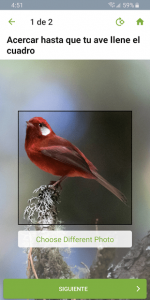 Merlin Bird ID Por Cornell Lab 4