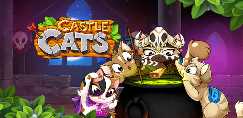 Castle Cats video